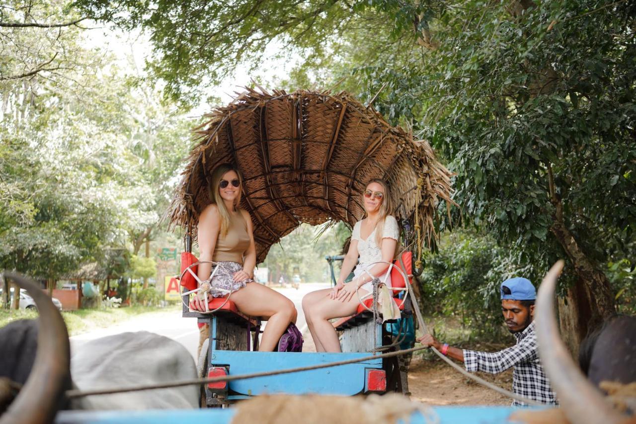 Sigiriya Kingdom Gate Dambulla Hotel Bagian luar foto